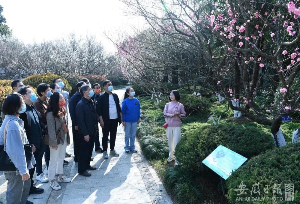 1775627260961 赏金船长(中国大陆)官方网站