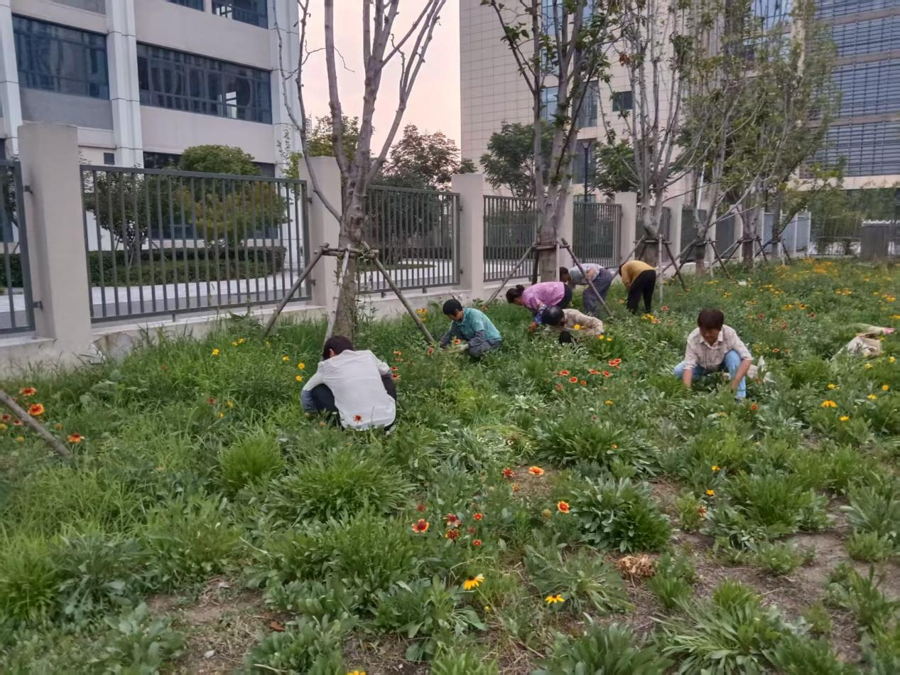 赏金船长(中国大陆)官方网站
